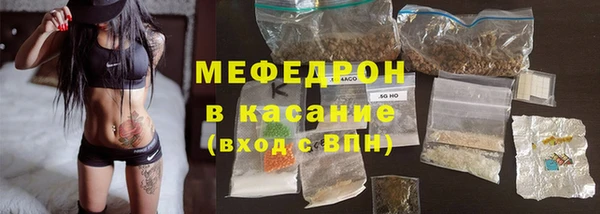 шишки Корсаков