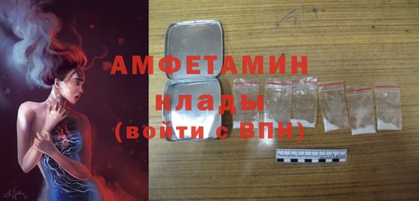 шишки Корсаков
