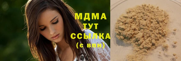 шишки Корсаков