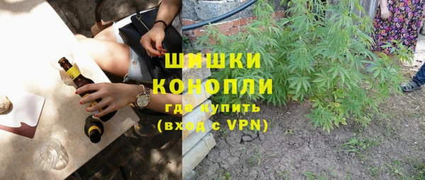 шишки Корсаков
