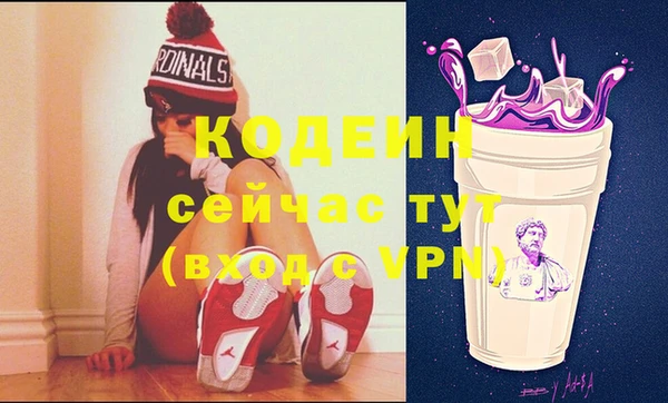 шишки Корсаков