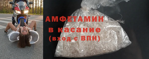 шишки Корсаков